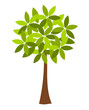 Tree illustration
