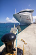 oceanliner moored at pier