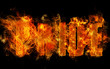 PRIDE - the seven sins from fire PRIDE - the seven sins from fire