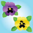 Vektor: Pansies Pansies