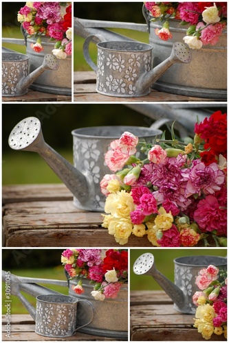 Foto: composition oeillets composition oeillets