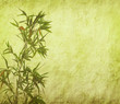 Silhouette of branches of a bamboo on paper background .