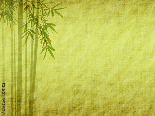 Foto: Silhouette of branches of a bamboo on paper background . Silhouette of branches of a bamboo on paper background .