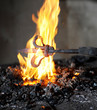 Iron element