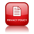 PRIVACY POLICY Web Button (disclaimers terms and conditions)