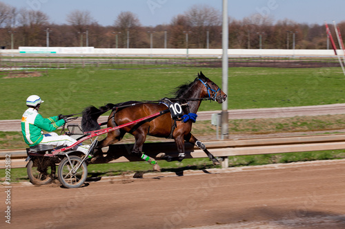 Photo: Harness Racing.Trotting horse. Harness Racing.Trotting horse.