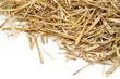 Photo: straw straw