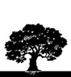 Tree. Vector