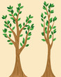 Vektor: Stylized Trees Stylized Trees