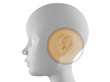 Ear examination