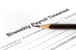Biweekly payroll timesheet