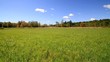 Summer breeze in field of grass Summer breeze in field of grass