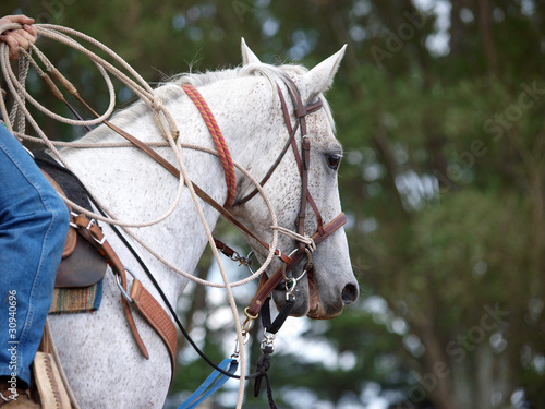 Photo: Cowboy's Pony Cowboy's Pony