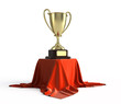 Gold trophy cup