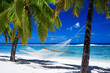 Hammock between palm trees on tropical beach Hammock between palm trees on tropical beach