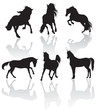 Image : vector horse silhouettes