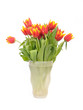 beautiful bouquet red tulips in vase on white background beautiful bouquet red tulips in vase on white background