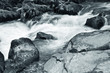 Rapids