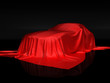 Illustration: Car presentaition Car presentaition