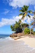 Cayo Levantado view