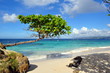 Cayo Levantado