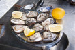 Oysters