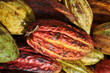 cacao