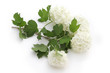 Lilas