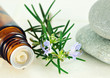 Rosemary Oil