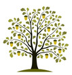oak tree