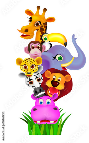 Vector: Animal cartoon Animal cartoon
