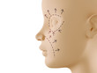Neutral face profile with aesthetic surgery sign
