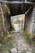 Path