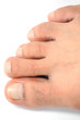 the foot