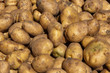 potato