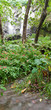 Oasis de fraîcheur