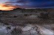 Las Bardenas Reales