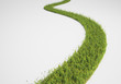Abstract pathway made of grass and yellow flowers