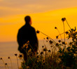Lone Man against Sunset and Wildflowers