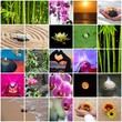 MOSAICO ASIÁTICO ZEN MOSAICO ASIÁTICO ZEN