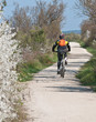 VTT Nature