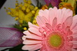 fiore e mimosa