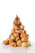 Pile of spring onions on white background Pile of spring onions on white background