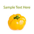 Bulgarian peppers on a white background