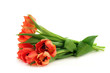 Tulpenstrauß