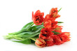 Tulpenstrauß