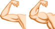Hand Before and After fitness Hand Before and After fitness