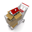 house in an open cardboard box, standing on trolley