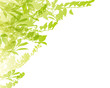 green background