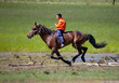 on horseback across the steppe